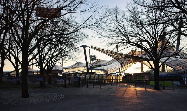 但在这个 但在这个