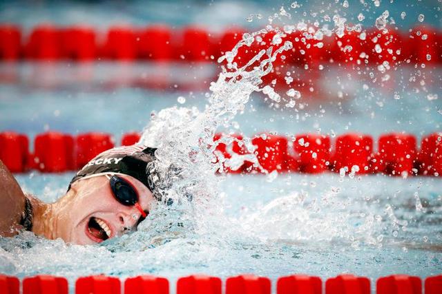 独行侠队因 独行侠队因