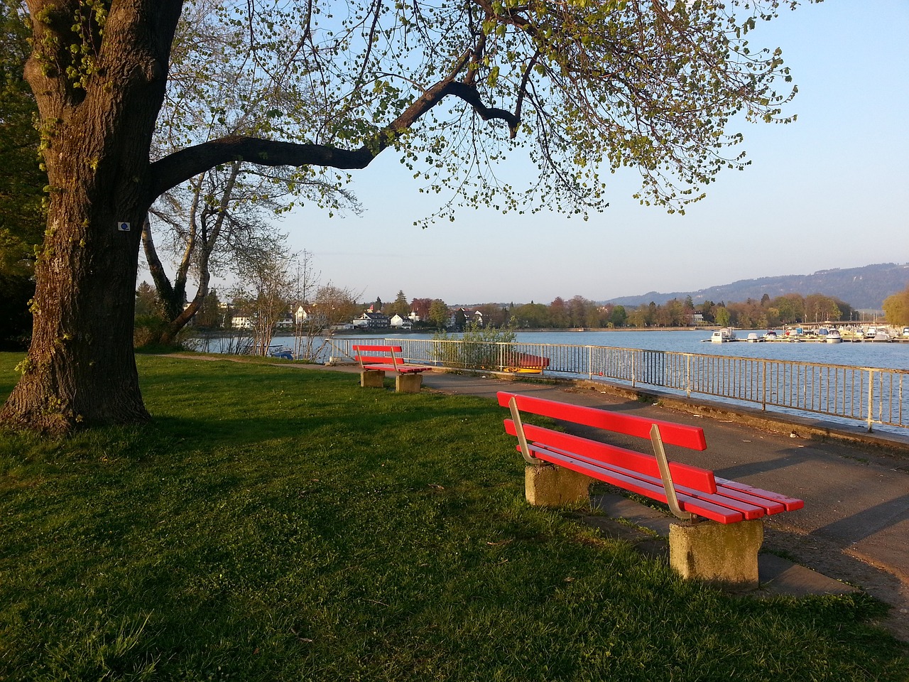 让联盟震动 让联盟震动