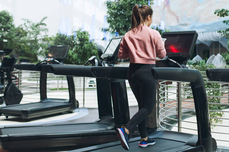 奉化桃花马 奉化桃花马