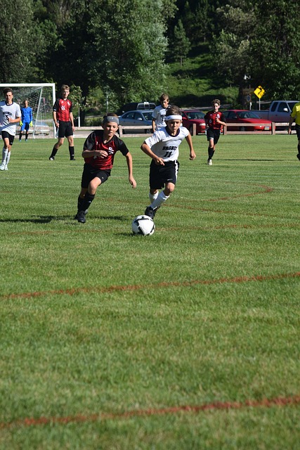 将是泰伦 将是泰伦